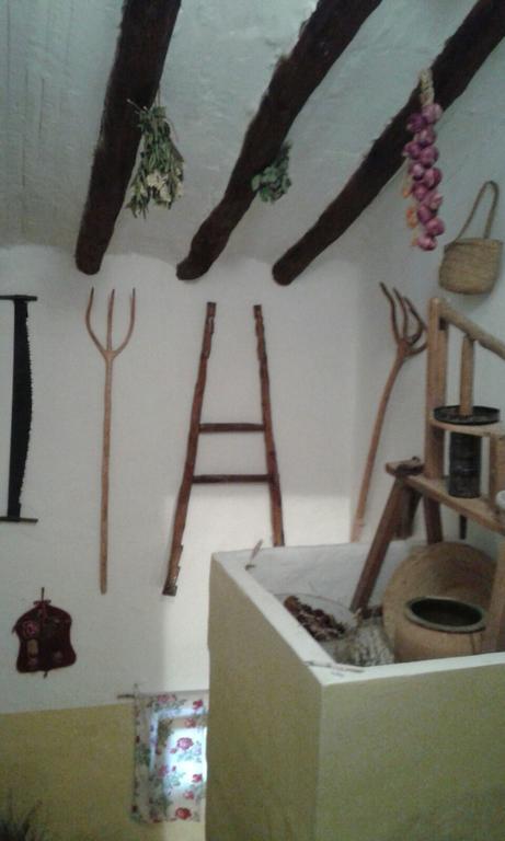 Casa Elina Lucena *